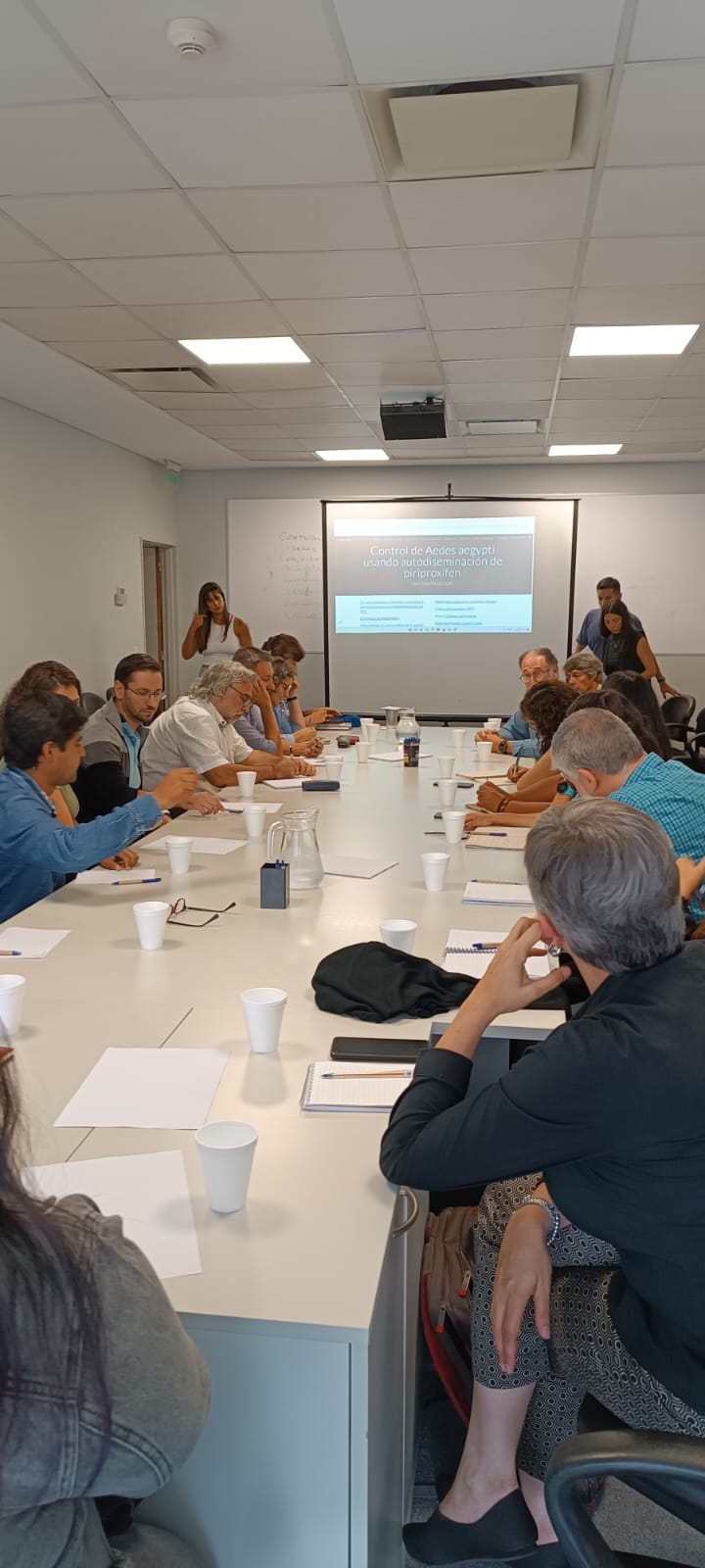 Imagen de WhatsApp 2024-04-05 a las 15.14.06_30401522